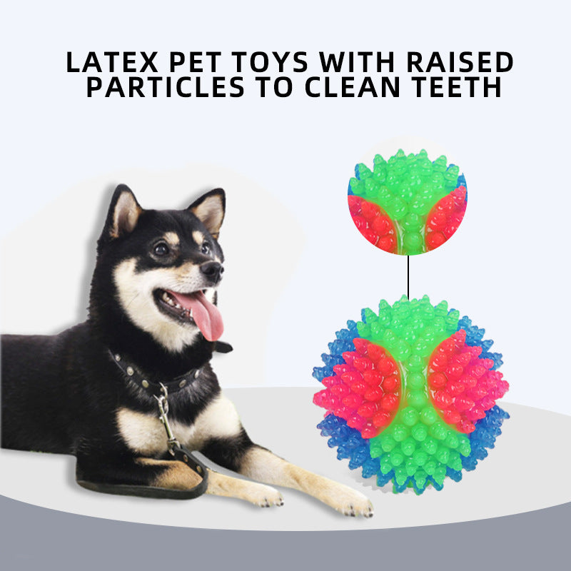 Balle Élastique Lumineuse Interactive pour Petit Chien