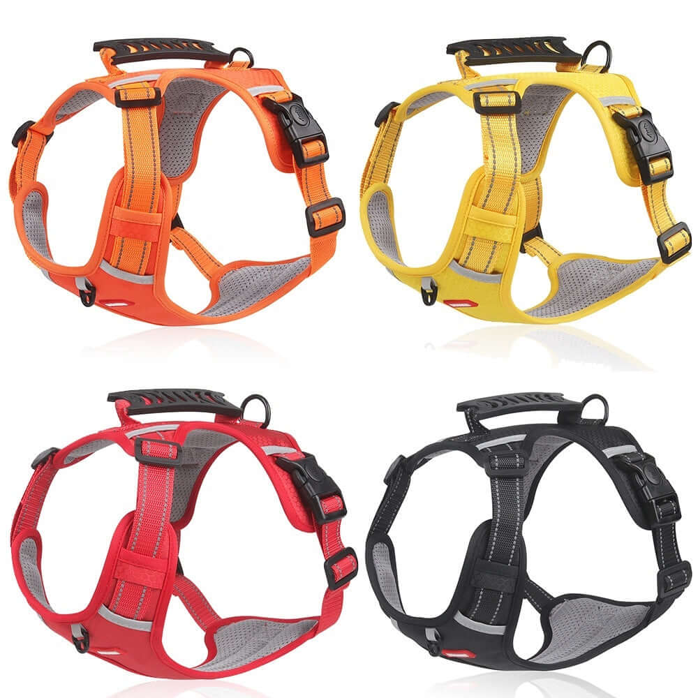 Harnais de sécurité pour animaux en jaune, orange, rouge et noir, offrant confort et sécurité pour vos animaux.