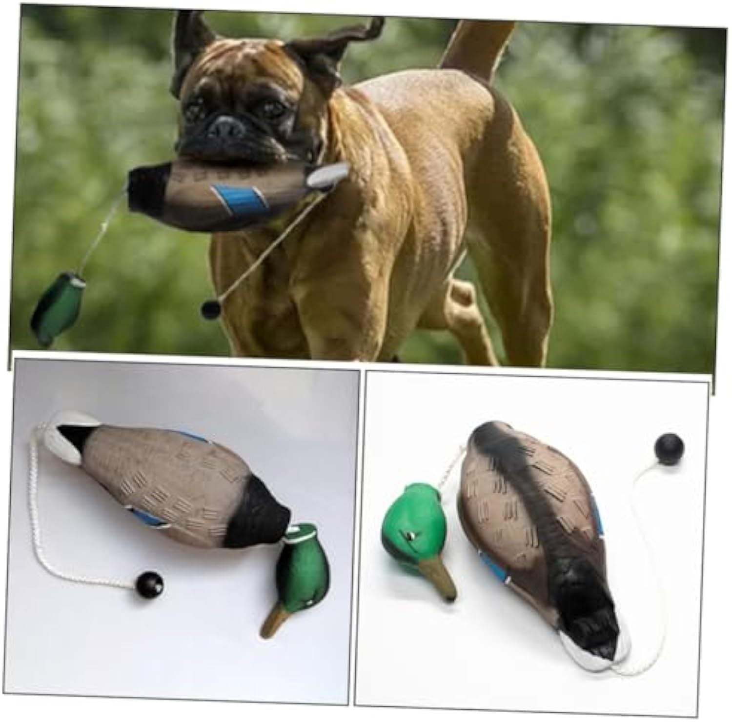Jouet en Peluche Canard pour Chiens Mordeurs