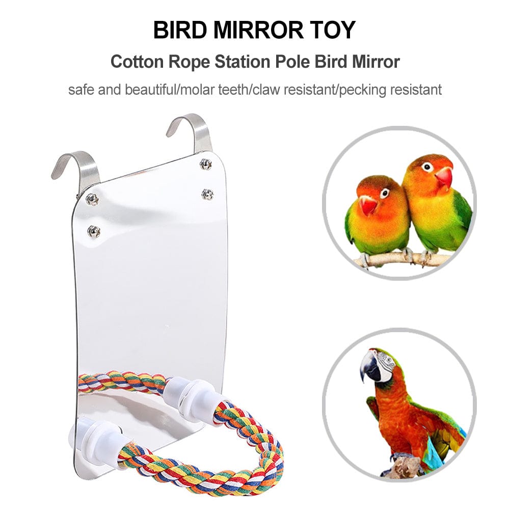 Jouet pour Perroquet en Acrylique avec Miroir
