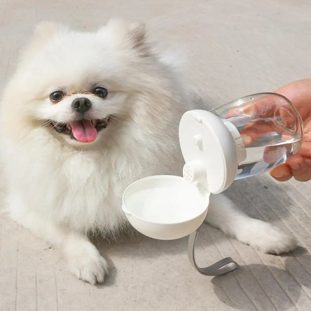 Gourde portable pour animaux avec eau, idéale pour hydrater votre chien lors de promenades et aventures en plein air.
