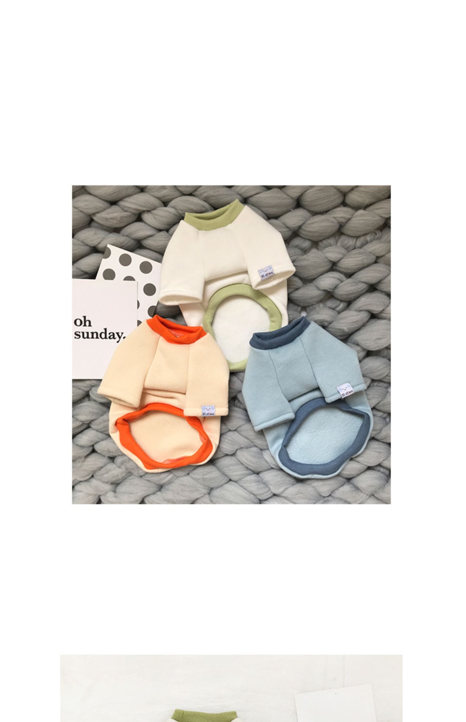 Pulls confortables pour chats de petite taille dans des couleurs tendance, parfaits pour le printemps et l'automne.