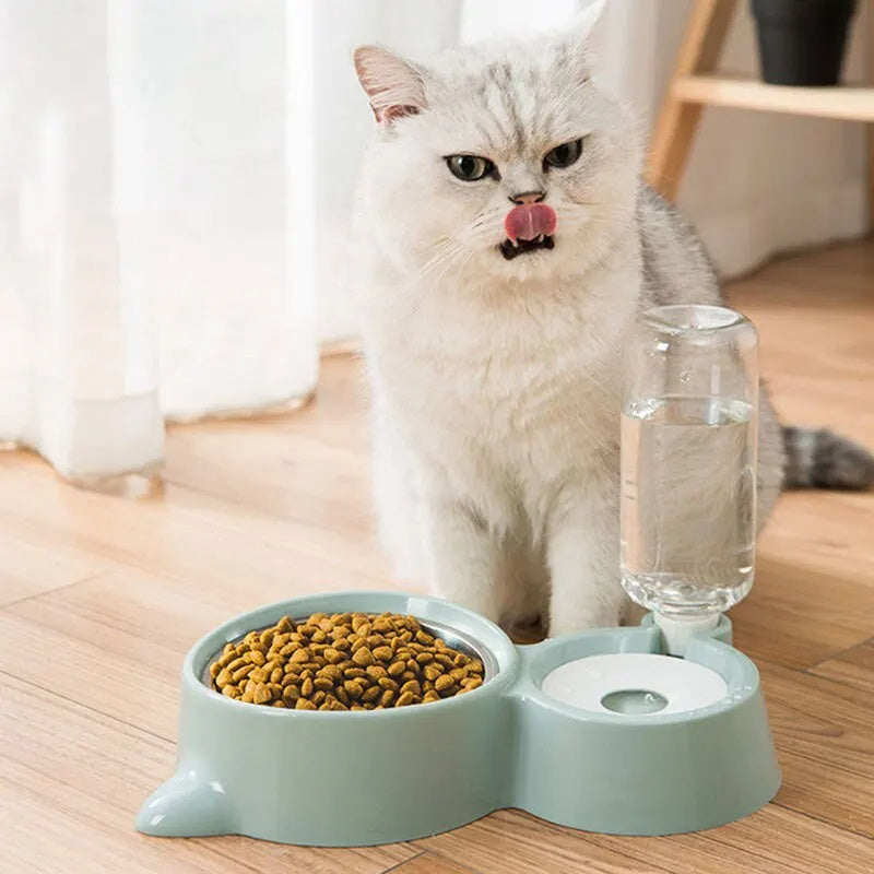 Distributeur automatique d'eau et de nourriture pour animaux avec un chat gourmand à côté.