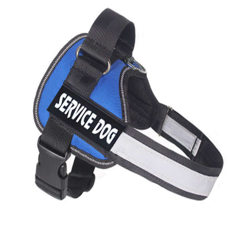 Harnais de poitrine bleu pour chien avec étiquette 'SERVICE DOG' et conception ergonomique.