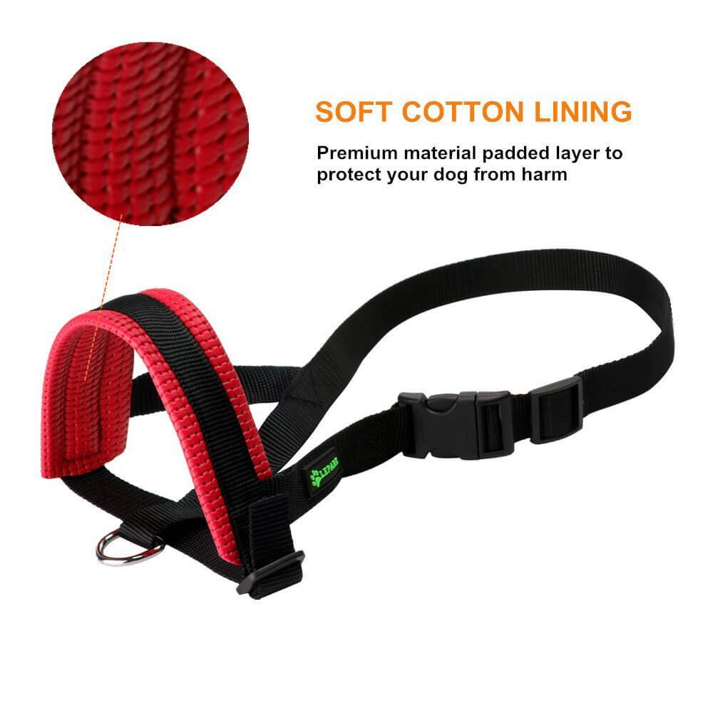 Harnais de sécurité pour chien avec doublure en coton doux, conçu pour le confort et la protection de votre animal.