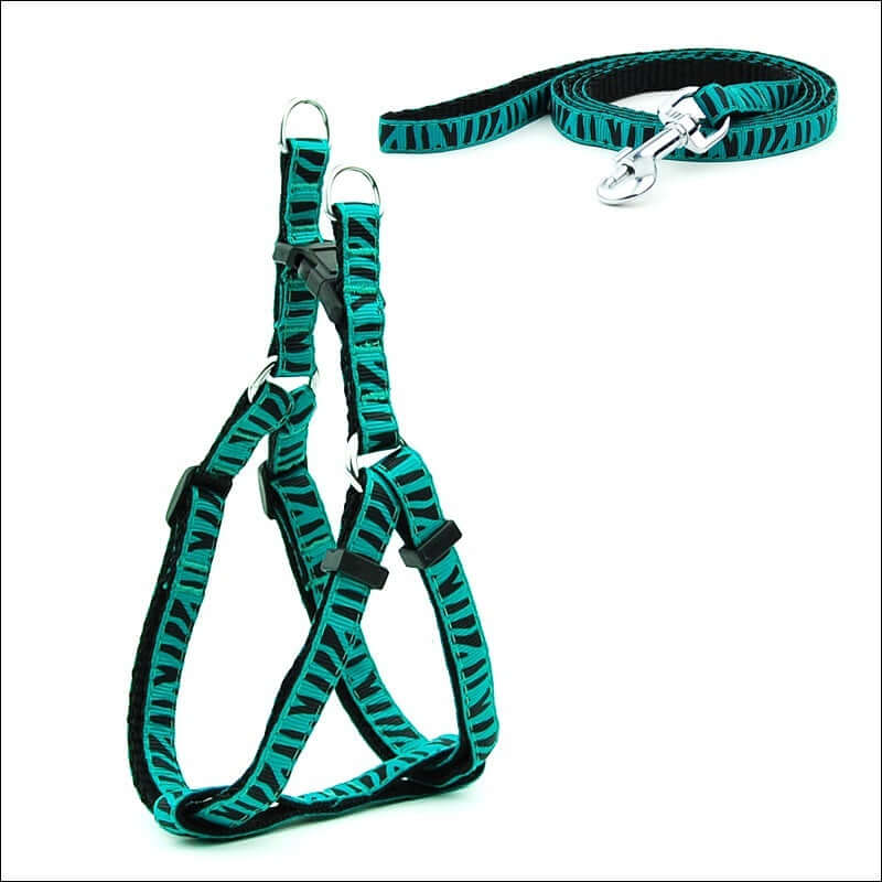 Laisse pour animaux à pois et sangle de poitrine turquoise pour chiens, durable et confortable.