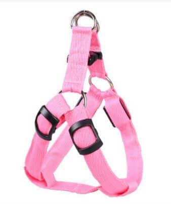 Harnais LED lumineux pour chien en rose, sécurisé et pratique pour les promenades nocturnes.