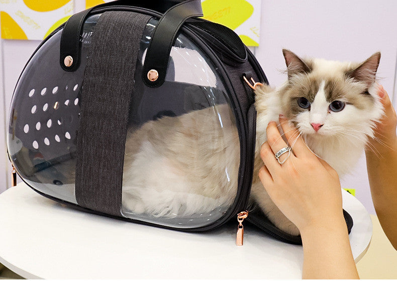 Sac transparent Double Fish avec un chat à l'intérieur, accessoire idéal pour le transport d'animaux.