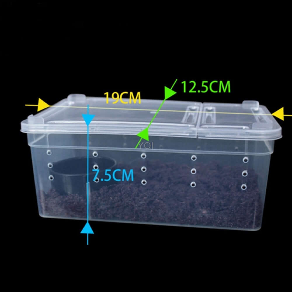Boîte de nourriture transparente pour reptiles, dimensions 19cm x 12.5cm x 7.5cm, idéale pour transporter et nourrir.