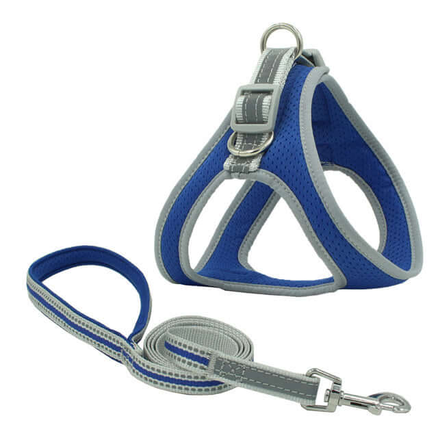 Harnais de poitrine pour animaux avec corde de traction en nylon robuste, couleur bleu et gris, conçu pour confort et sécurité.