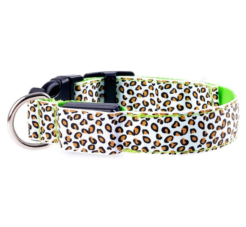 Collier LED ajustable en nylon léopard pour chien, accessoire de sécurité pour promenades nocturnes.