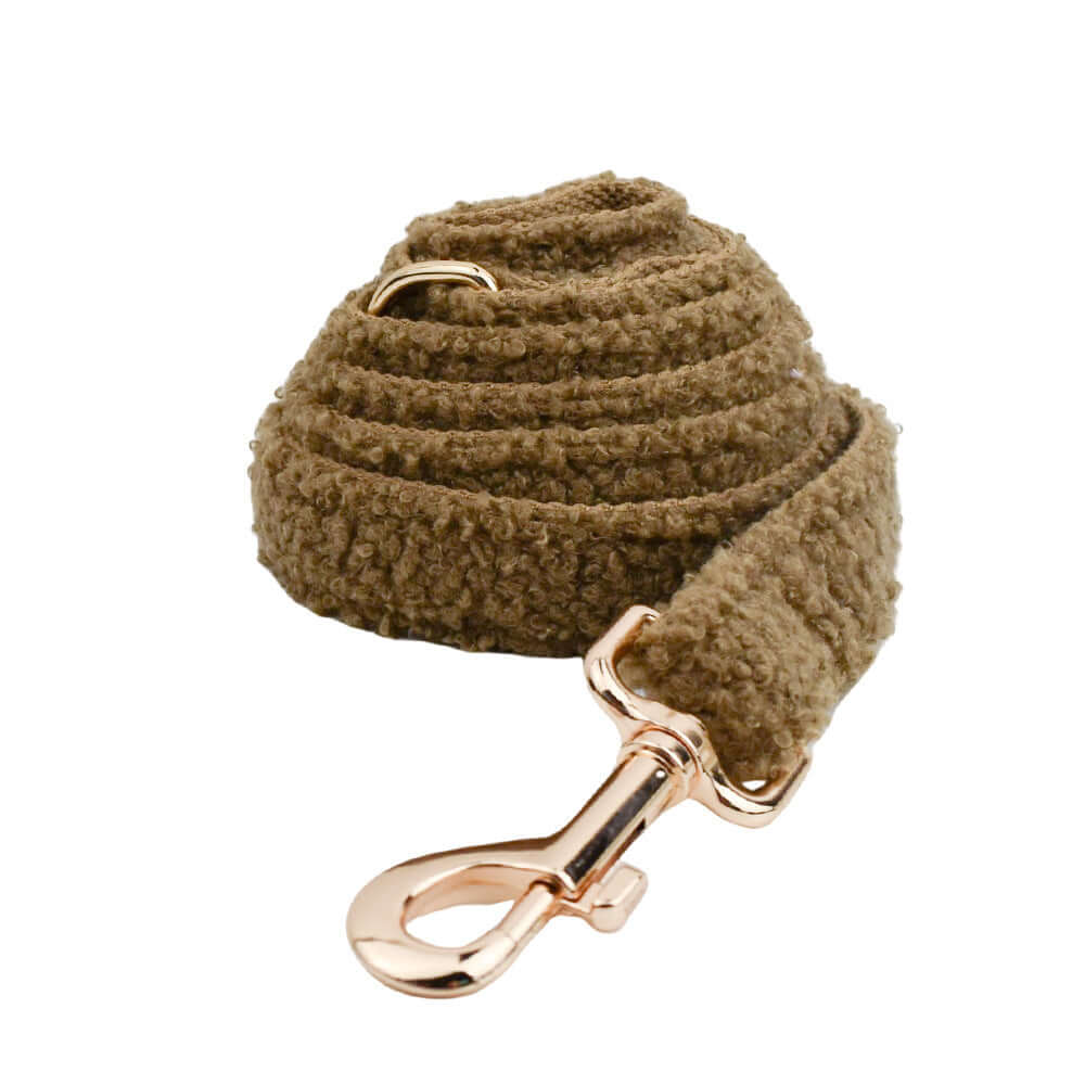 Laisse en corde marron pour chien avec mousqueton doré, alliant style et confort lors des promenades.