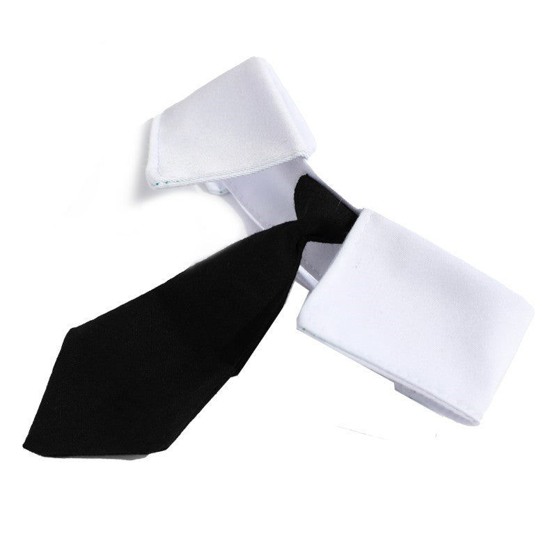 Cravate élégante en noir et blanc pour chats, accessoire chic pour les animaux de compagnie.