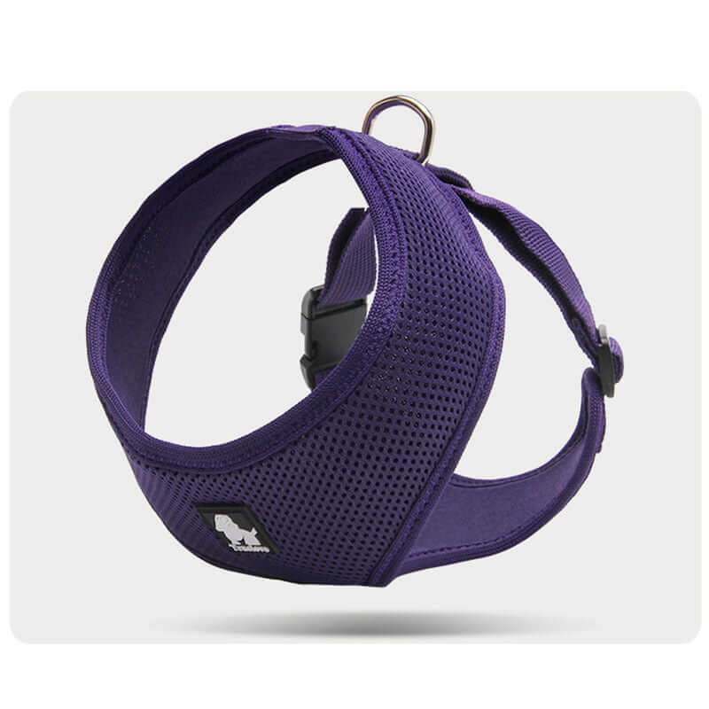 Harnais de sécurité pour chien en maille violette, conçu pour le confort et la sécurité des petits chiens.