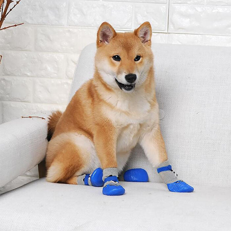 Chien Shiba Inu portant des chaussures antidérapantes sur un canapé, parfaites pour éviter les glissades.