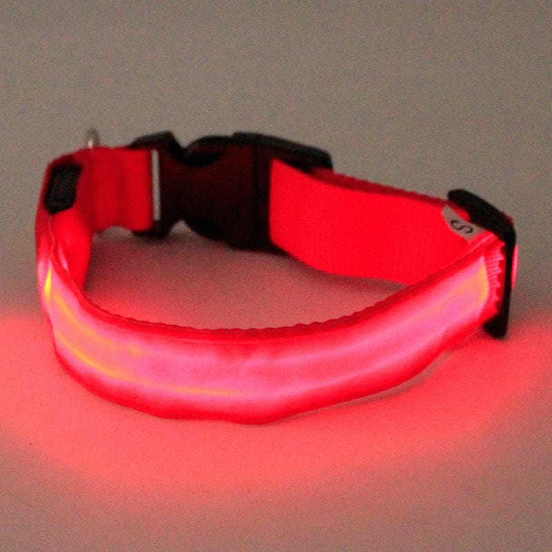 Red glowing dog collar for visibility at night, made of durable nylon, ideal for pet safety.