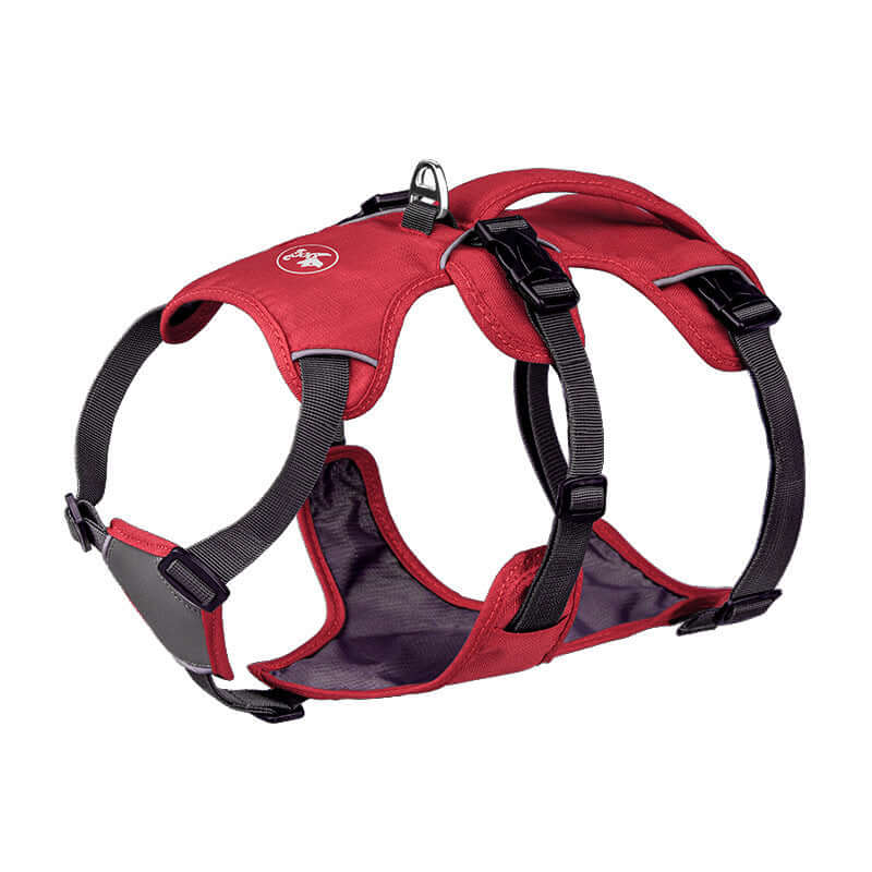 Harnais pour chien rouge avec cordes de maintien et boucles de sécurité, idéal pour confort et promenades.