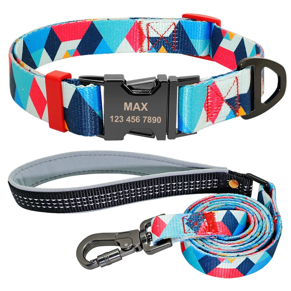 Collier pour chien personnalisé avec étiquette, assorti à une laisse colorée, idéal pour petits à moyens chiens.