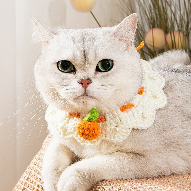 Écharpe tricotée pour chat avec motif de carotte, alliant confort et style pour votre compagnon à quatre pattes.