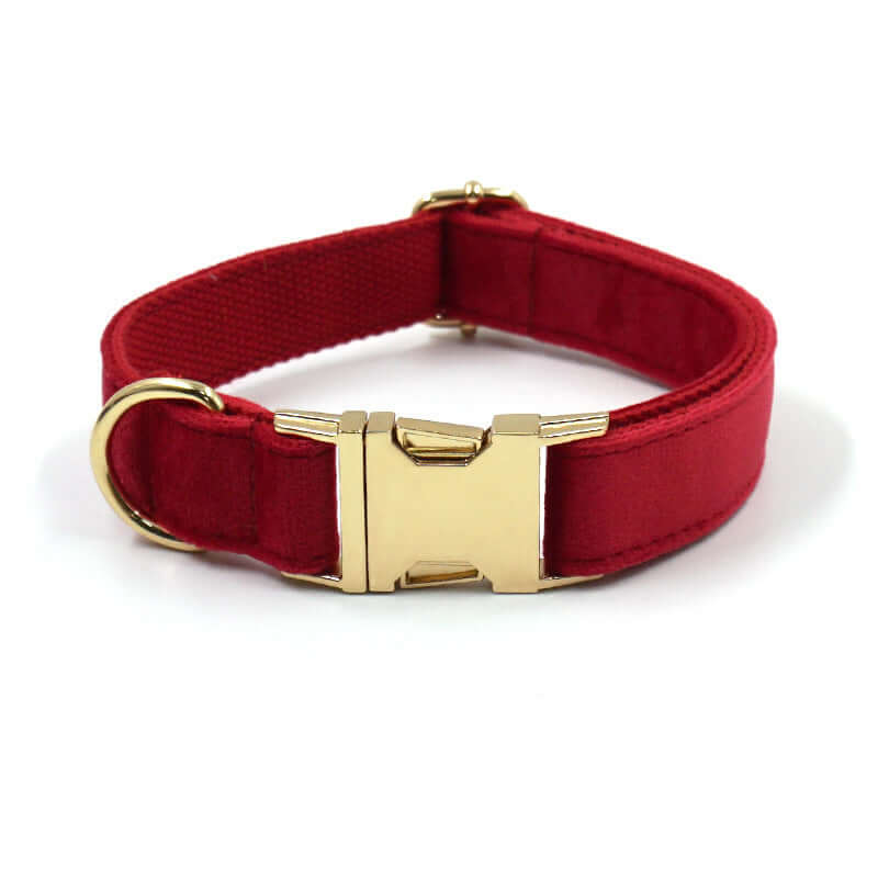 Collier pour animal rouge avec boucle dorée, élégant et confortable pour chiens et chats.