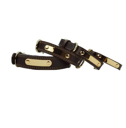 Colliers pour chien en cuir microfibre avec décoration dorée, confort et style pour vos compagnons.