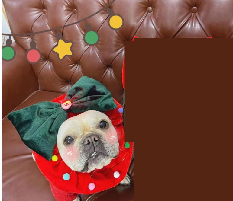 Chien en tenue de Noël rouge avec un grand nœud vert, décoré avec des pompons colorés, assis sur un canapé.