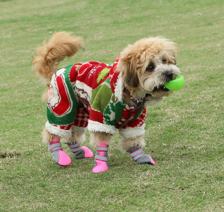 Chien portant des chaussures de promenade et un pull de Noël, tenant une balle verte sur un terrain herbeux.