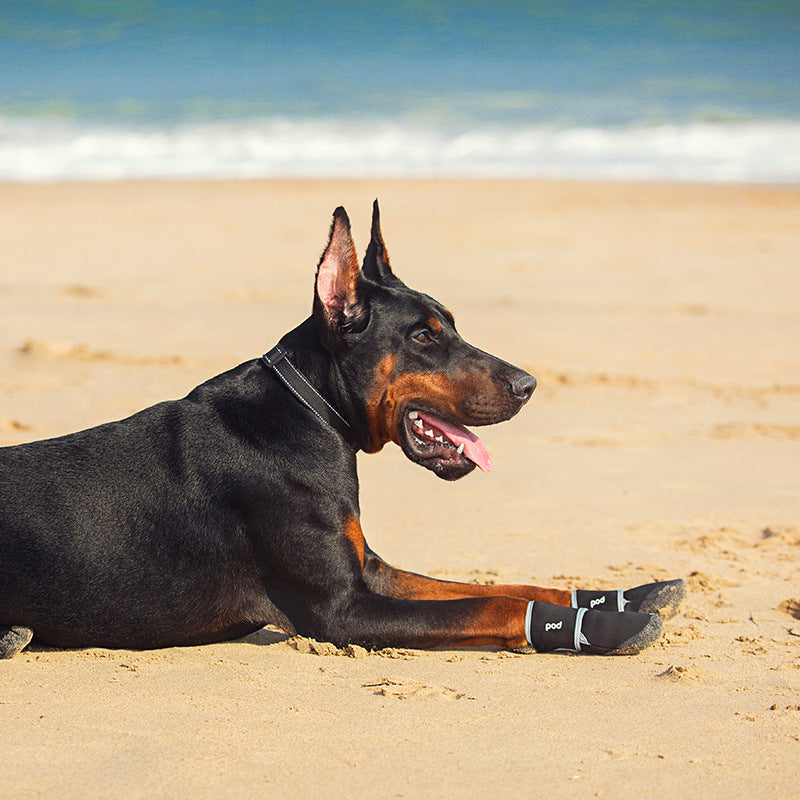 Doberman lying on the beach wearing black anti-slip shoes, enjoying the sun and surf.