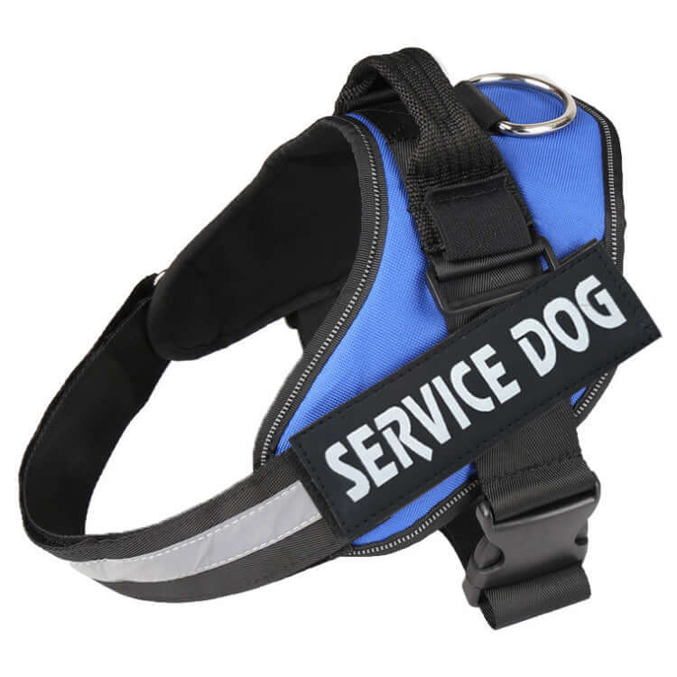 Strong blue service dog harness with reflective strips and stainless steel ring for leash attachment.
