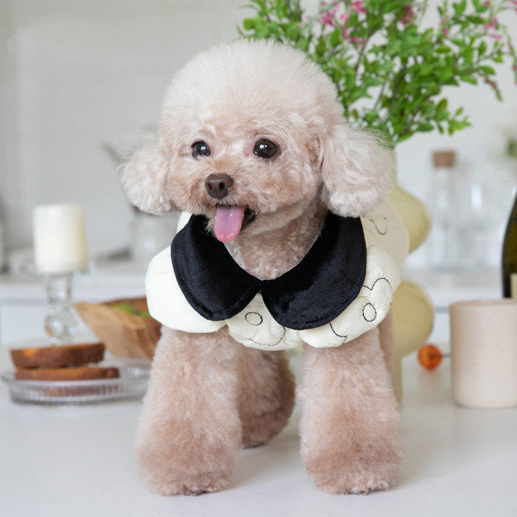 Chien en velours coton avec col noir, parfait pour l'automne et l'hiver, idéal pour garder votre animal au chaud.