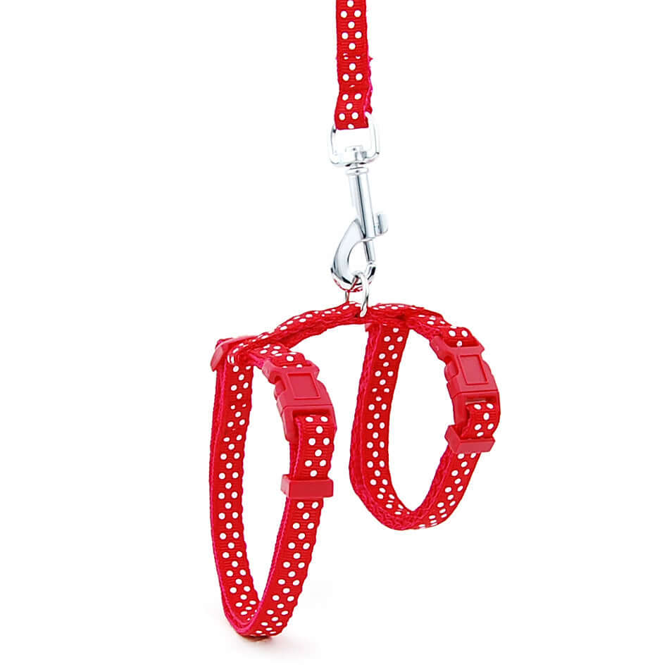 Laisse anti-rupture rouge en nylon pour chat avec motifs à pois, idéale pour assurer la sécurité en extérieur.
