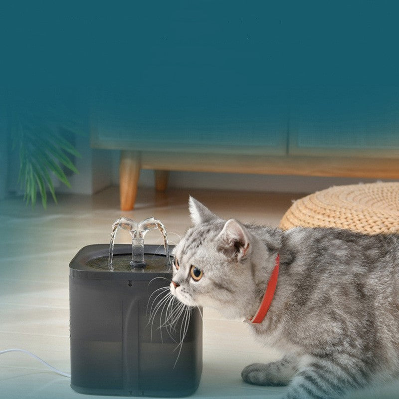 Chat curieux s'approchant d'une fontaine automatique à boire pour animaux, idéale pour rester hydraté.