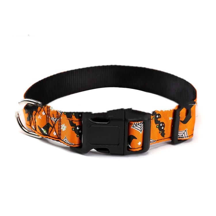 Collier de Halloween pour animaux avec motifs de chat et toiles d'araignée, idéal pour chiens et chats.