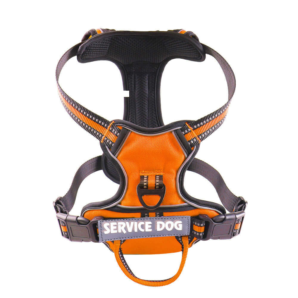 Harnais orange pour chien avec inscription 'SERVICE DOG', conçu pour le confort et la sécurité en promenade.
