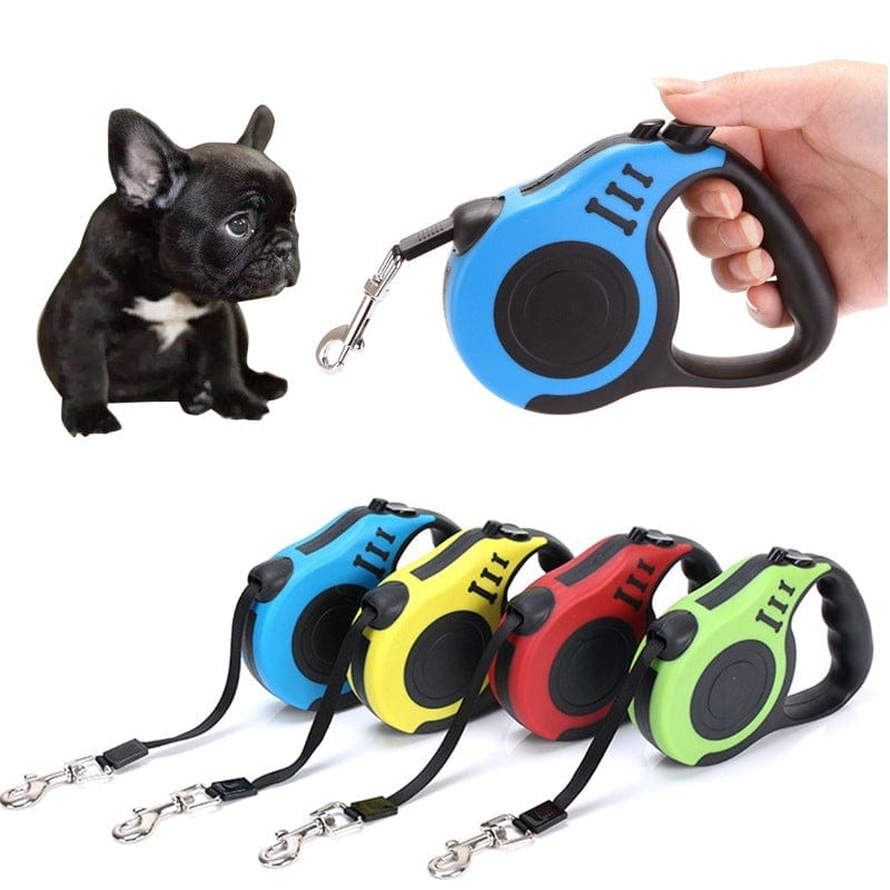 Laisse télescopique automatique pour chien avec système de freinage et verrouillage, disponible en plusieurs couleurs.
