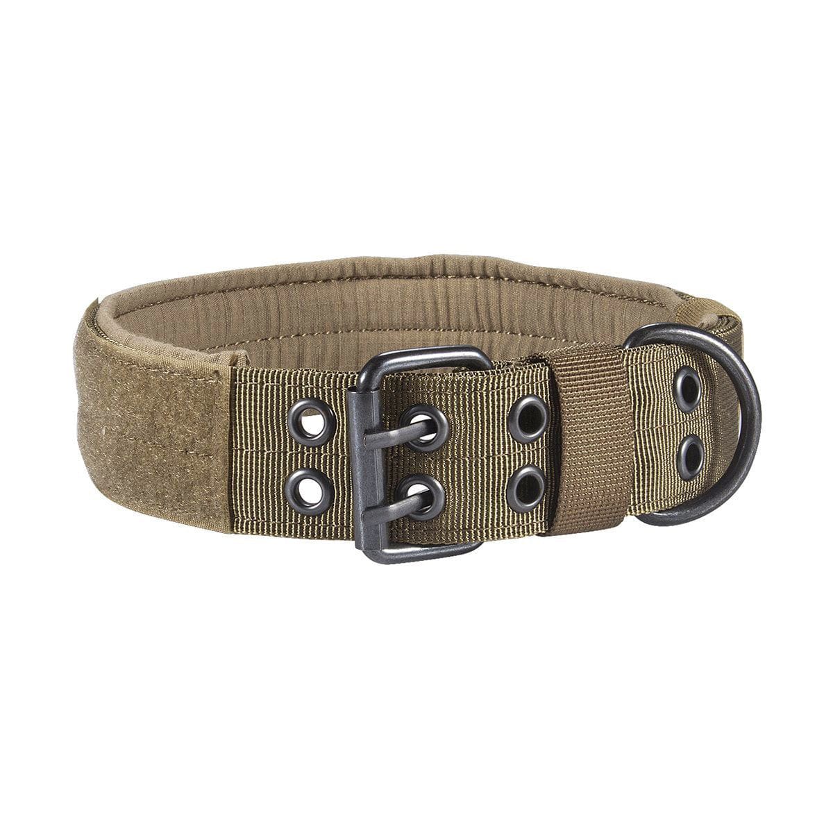Collier en nylon anti-rouille pour chien avec rembourrage confortable et boucle robuste.