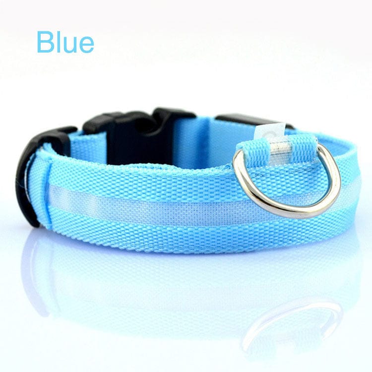 Collier LED de sécurité pour chien bleu, idéal pour les promenades nocturnes, lumineux et élégant.