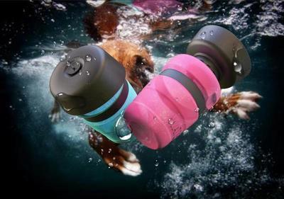 Bouteilles d'eau pliables pour chien flottant dans l'eau, design pratique pour les voyages avec des animaux.