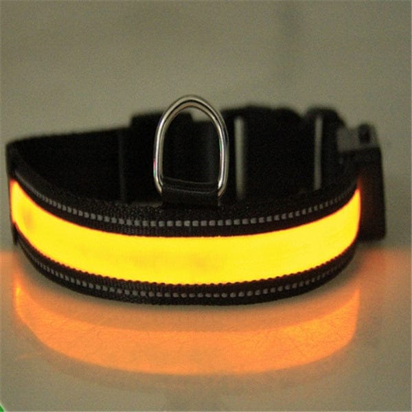 Collier de chien fluorescent recharge solaire pour visibilité nocturne, en nylon, pratique et sécuritaire.