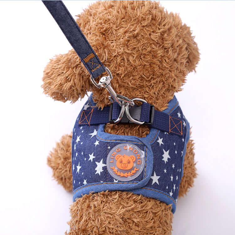 Gilet de randonnée pour chien avec sangle de protection, confort et sécurité, design étoilé et durable.