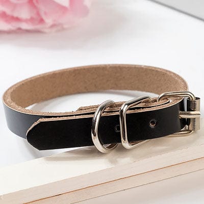 Collier en cuir noir pour chien avec chaîne, confortable et durable, idéal pour les accessoires pour animaux.