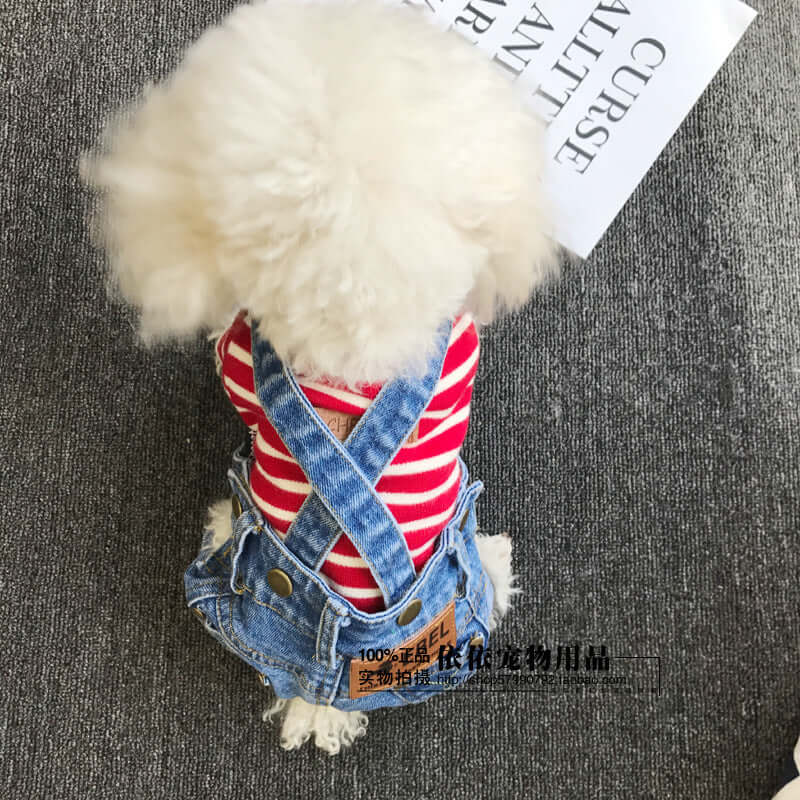 Chien portant des pantalons salopette en denim avec un haut rayé, idéal pour le style et le confort des animaux.