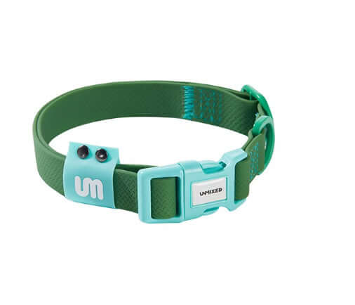 Collier étanche pour chien en PVC vert, taille M et S, idéal pour promenades en plein air.