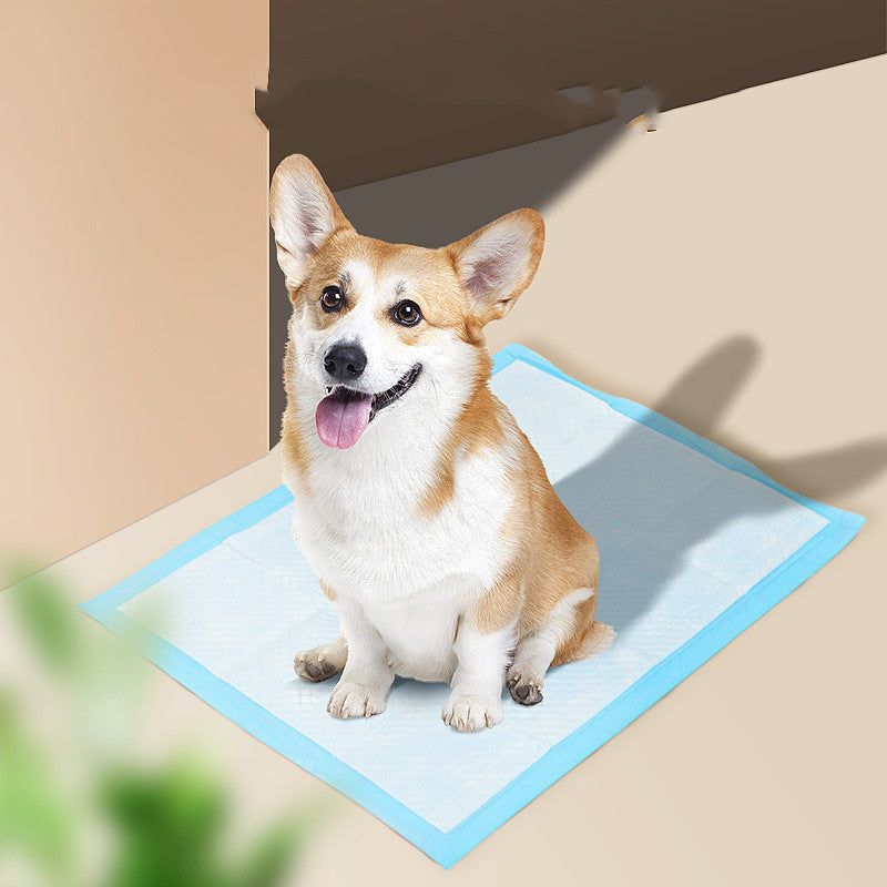 Tapis Hygiénique Absorbant pour Chiens