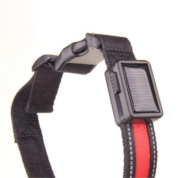 Collier de chien fluorescent avec recharge solaire, en nylon noir et rouge, offrant sécurité et visibilité nocturne.