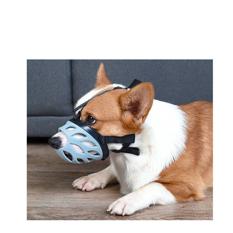 Muselière élégante pour chien, conçue pour limiter les morsures et les aboiements, en couleur bleu.