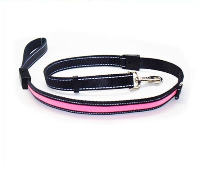 Laisse pour chien fluorescente en nylon noir et rose avec crochet en métal, idéale pour promenades nocturnes.