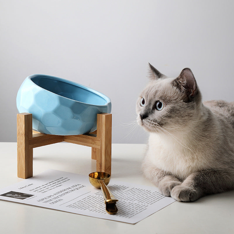Bol pour animaux oblique - Idéal pour chats et chiens