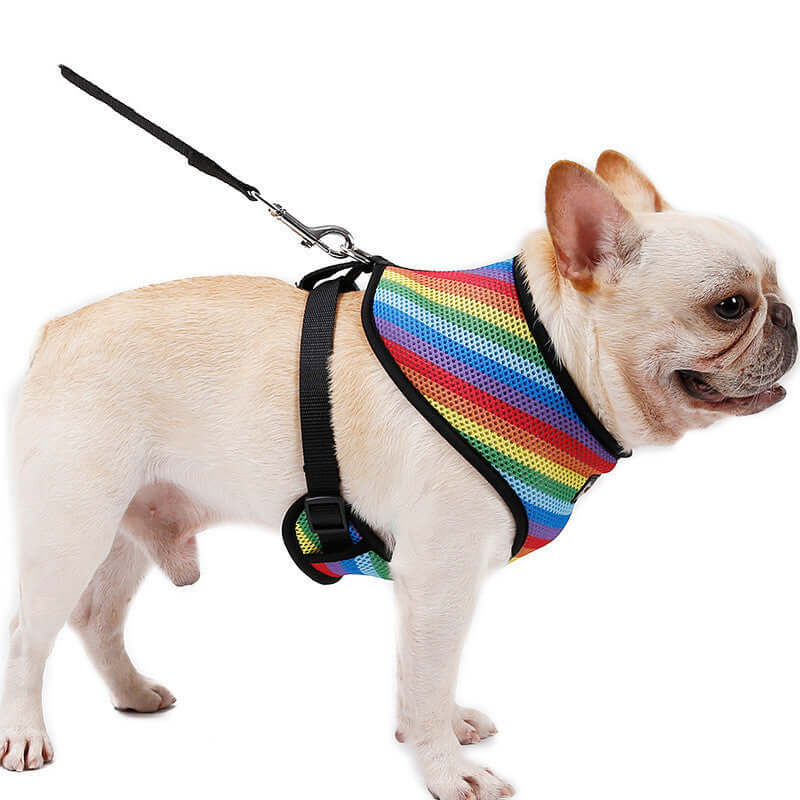 Harnais Arc-en-Ciel pour chien en rayures colorées, garantissant confort et style lors des promenades.