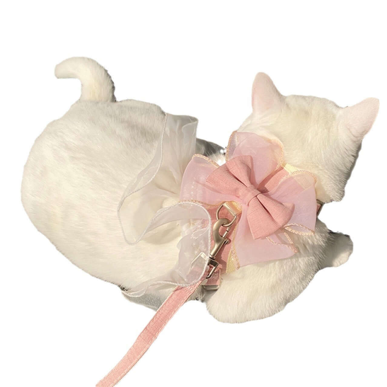 Chat blanc portant une laisse anti-casse en style gilet avec nœud rose, parfait pour les sorties avec votre animal.
